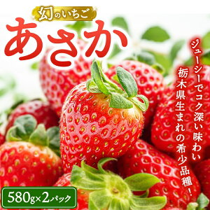 �y�ӂ邳�Ɣ[�Łz�s���ʌ���t���̂�����������15���i580g×2�p�b�N�j �b ������ �C�`�S � �Ȗ،� �ʕ� �t���[�c �V�N ���� �M�t�g ���� �� ��2026�N1�����{�`2�����{���ɏ��������\��