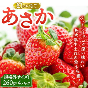 �y�ӂ邳�Ɣ[�Łz�s���ʌ���t���̂������������K�i�O�T�C�Y�i260g×4�p�b�N�j �b ������ �C�`�S � �Ȗ،� �ʕ� �t���[�c �V�N ���� �M�t�g ���� �� ��2026�N1�����{�`2�����{���ɏ�������