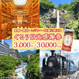 【ふるさと納税】ぐるり日光感謝券【商品券 (選べる金額：3千円分／9千円分／1万5千円分／3万円分)】｜旅行券 クーポン券 お食事券 旅行 観光 温泉 旅館 ホテル カフェ レジャー施設 地域商品券 チケット 日光市 [0206-0207][0292-0293]