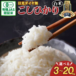yӂ邳Ɣ[Łz[s\^ߘa7Nx][JASL@F] Ђ [_C^] ߘa7N10{菇b2025Nx L@͔| I[KjbN RVqJ   ͂ Y 