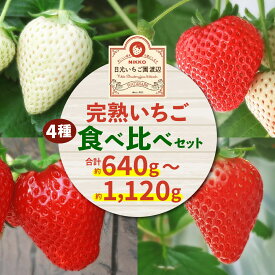 【ふるさと納税】[2026年1月上旬より順次発送] 4種類の「完熟いちご」 食べ比べ！ 日光の自然が育むいちご｜先行予約 期間限定 イチゴ 苺 フルーツ とちおとめ とちあいか スカイベリー ミルキーベリー 果物 産地直送 日光産 栃木県産 [0651-0653]