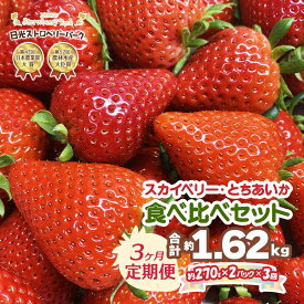 【ふるさと納税】[先行予約][定期便／3ヶ月] 計1620g プレミアム『スカイベリー』＆『とちあいか』 大粒から中粒のみ厳選 約270g×2P 計3回 日光ストロベリーパークの人気2品種｜スカイベリー とちあいか いちご イチゴ 苺 果物 日光産 栃木県産 国産 フルーツ [0672]