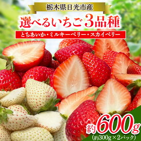 【ふるさと納税】[先行予約] いちご 2パック 「とちあいか／スカイベリー／ミルキーベリー」計約600g [2026年1月中旬から順次発送]｜とちあいか スカイベリー ミルキーベリー イチゴ 苺 果物 フルーツ 日光産 栃木県産 期間限定 数量限定 [0673-0676]