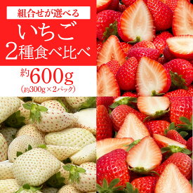 【ふるさと納税】[先行予約] いちご 2種食べ比べセット「とちあいか＆スカイベリー／とちあいか＆ミルキーベリー／スカイベリー＆ミルキーベリー」各1パック 計約600g [2026年1月中旬から順次発送]｜いちご イチゴ 苺 果物 フルーツ 日光産 栃木県産 期間限定 [0677-0680]