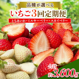 【ふるさと納税】[先行予約] [定期便／3ヶ月] 日光産 プレミアムいちご「スカイベリー／とちあいか／ミルキーベリー」定期便 (毎月お届け 約1.2kg×3回 計3.6kg) [2026年1月中旬から順次発送]｜スカイベリー とちあいか ミルキーベリー いちご イチゴ 苺 [0681-0684]
