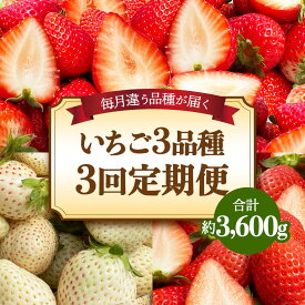 【ふるさと納税】[先行予約] [定期便／3ヶ月] 日光産 人気のいちご3品種定期便 (毎月1品種 約1.2kg×3回 計3.6kg) [2026年1月中旬から順次発送]｜とちあいか ミルキーベリー スカイベリー いちご イチゴ 苺 果物 日光産 栃木県産 フルーツ 期間限定 数量限定 [0685]