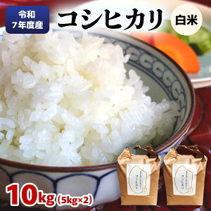 yӂ邳Ɣ[Łz[ʌ] ߘa7NxY ʍ͔| RVqJ 10kg (5kg×2)bЂ   CX 2025Nx   Y Y Yn s\ [0707]