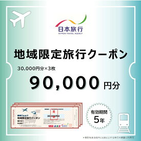 【ふるさと納税】栃木県日光市 地域限定旅行クーポン 9万円分 日本旅行｜トラベルクーポン 納税チケット 旅行 宿泊券 ホテル 観光 旅行 旅行券 交通費 体験 宿泊 夏休み 冬休み 家族旅行 ひとり旅 カップル 夫婦 親子 日光旅行 [0718]