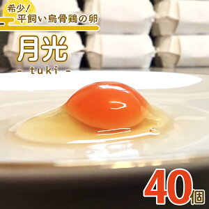 �y�ӂ邳�Ɣ[�Łz�󏭁I�������G���{�̗��u�����stuki�t�v40�b�����s�Y �������� �G���{ ������藑 ���܂� �� �ʎq ���� �{�� NANTAI�t�@�[�� [0802]