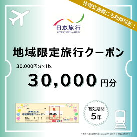 【ふるさと納税】栃木県日光市 地域限定旅行クーポン 3万円分 日本旅行｜トラベルクーポン 納税チケット 旅行 宿泊券 ホテル 観光 旅行 旅行券 交通費 体験 宿泊 夏休み 冬休み 家族旅行 ひとり旅 カップル 夫婦 親子 日光旅行 [0424]