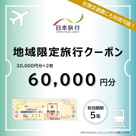 【ふるさと納税】栃木県日光市 地域限定旅行クーポン 6万円分 日本旅行｜トラベルクーポン 納税チケット 旅行 宿泊券 ホテル 観光 旅行 旅行券 交通費 体験 宿泊 夏休み 冬休み 家族旅行 ひとり旅 カップル 夫婦 親子 日光旅行 [0425]