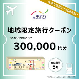 【ふるさと納税】栃木県日光市 地域限定旅行クーポン 30万円分 日本旅行｜トラベルクーポン 納税チケット 旅行 宿泊券 ホテル 観光 旅行 旅行券 交通費 体験 宿泊 夏休み 冬休み 家族旅行 ひとり旅 カップル 夫婦 親子 日光旅行 [0427]