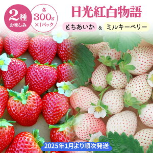 yӂ邳Ɣ[Łz[s\] guƂ~L[x[vv300g×2pbN [2026N1{菇]bs\ Ԍ Ƃ ~L[x[  C`S  t