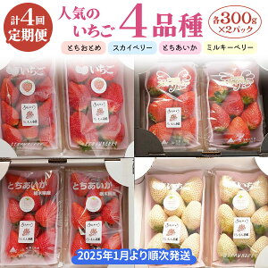 yӂ邳Ɣ[Łz[s\] [ց^4] lĈ4i(ƂƂ߁EXJCx[EƂE~L[x[) 300g×2pbN×4 [2026N1{菇]b Ԍ  