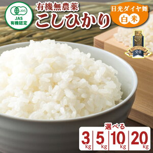 yӂ邳Ɣ[Łz[s\^ߘa7Nx][JASL@F] Ђ [_C^] ߘa7N10{菇b2025Nx L@͔| I[KjbN RVqJ   ͂ Y 