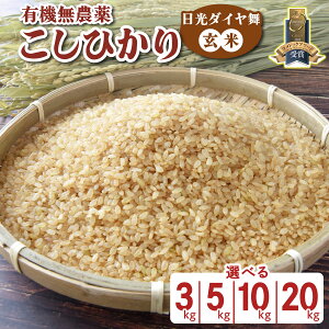 yӂ邳Ɣ[Łz[ʌ^ߘa7Nx] Ђs_C^ (IׂeʁF3kg^5kg^10kg^20kg)tb2025Nx _򌺕 L@͔|Ђ JASL@] I[KjbN RV