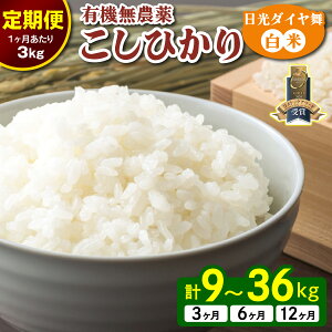 yӂ邳Ɣ[Łz[s\][] Ђ [_C^3kg] ߘa7N10{菇b2025Nx V L@͔| I[KjbN JASL@] RVqJ  ͂ Y Y