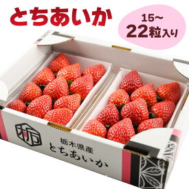 【ふるさと納税】[先行予約] とちあいか (約15粒から22粒入り) [2025年12月中旬より順次発送]｜とちあいか いちご イチゴ 苺 大粒 果物 果実 フルーツ 産地直送 日光市産 栃木県産 数量限定 [0648]