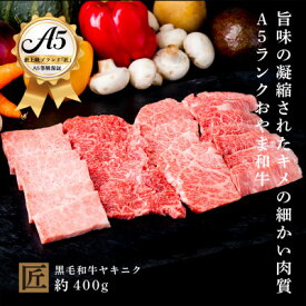 【ふるさと納税】おやま和牛 A5 極 ヤキニク 約400g【配送不可地域：離島】【1096935】