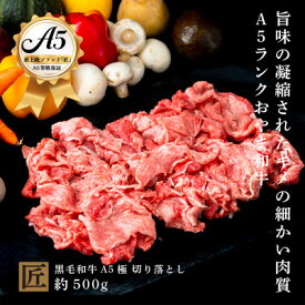 【ふるさと納税】おやま和牛 A5 極 和牛切り落とし 約500g【配送不可地域：離島】【1096950】