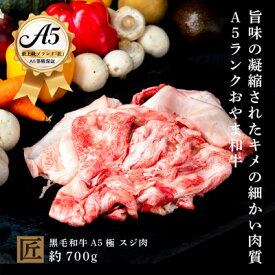 【ふるさと納税】おやま和牛 A5 極 スジ肉 約700g【配送不可地域：離島】【1096951】