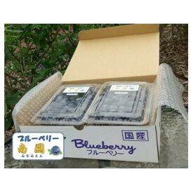 【ふるさと納税】【先行予約】ブルーベリー生果 280g x 4パック 『大粒・完熟』〈6～8月出荷〉_ ブルーベリー 大粒 完熟 あまい 甘い 農薬不使用 国産 果物 くだもの 果実 フルーツ 贈答 ギフト プレゼント 産地直送 産直 冷蔵 送料無料 【配送不可地域：離島】【1112401】