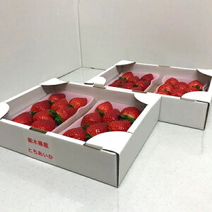 yӂ邳Ɣ[Łzł₶̂Ƃ@280g×4pbNyzsnFEkCEꌧEBzy1136156z