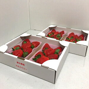 yӂ邳Ɣ[Łzł₶̂XJCx[@280g×4pbNyzsnFEkCEꌧEBzy1145719z