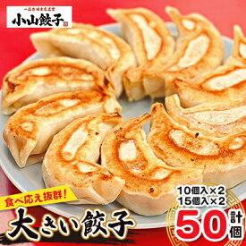 【ふるさと納税】冷凍餃子専門店 小山餃子 大きい餃子 50個_ 餃子 ぎょうざ 冷凍餃子 小山餃子 国産 肉 野菜 グルメ 美味しい 人気 おすすめ 送料無料 【1259740】