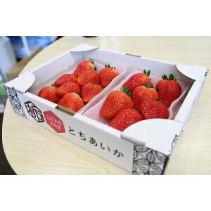 yӂ邳Ɣ[ŁzÿizRsYEuƂv 280g×2PyzsnFEkCEꌧEMzAkECEߋEEElEBzy1260981z