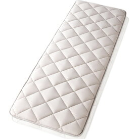 【ふるさと納税】APHRODIT　寧々　ごろ寝マット　日本製 創業150年の信頼と実績【1447283】