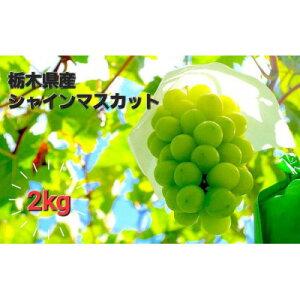 yӂ邳Ɣ[Łzy2kgẑVN!VC}XJbgyzsnFzy1487250z