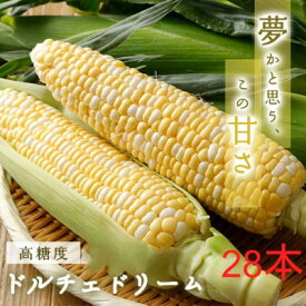 【ふるさと納税】糖度20度!甘くて美味いとうもろこし「ドルチェドリーム」 28本【配送不可地域：離島・北海道・沖縄県・信越、北陸・東海・近畿・中国・四国・九州】【1487433】