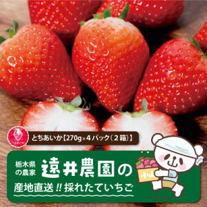 【ふるさと納税】産地直送!!栃木県遠井農園の美味しいとちあいか【270g×4パック(2箱)】【配送不可地域:離島】【1518939】