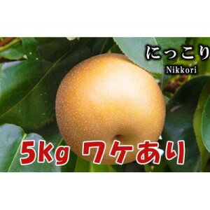yӂ邳Ɣ[Łzy5kgzȖ،RsYBi@ɂ@y1617304z