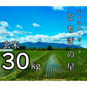 yӂ邳Ɣ[Łzߘa7NY Ƃ̐  30kgy1628168z