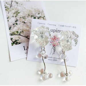 �y�ӂ邳�Ɣ[�Łz�T�[�W�J���X�e�����X�����A�����M�[�Ή��s�A�X�E�V���o�[�J���[�y1676061�z