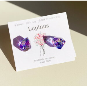 �y�ӂ邳�Ɣ[�Łz�T�[�W�J���X�e�����X�����A�����M�[�Ή��s�A�X�E�u���[�J���[�y1676334�z