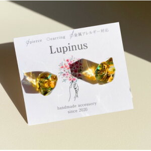 yӂ邳Ɣ[ŁzT[WJXeXAM[ΉsAXEO[J[y1676350z