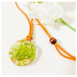 �y�ӂ邳�Ɣ[�Łz�A�W�A���^���̗t�l�b�N���X�E�O���[���J���[�y1676352�z