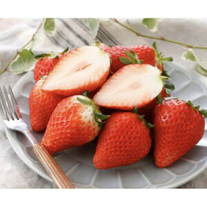 yӂ邳Ɣ[ŁzVfÔȉʎ RYXJCx[ 2pbNyzsnFEkCEꌧEElEBzy1678746z