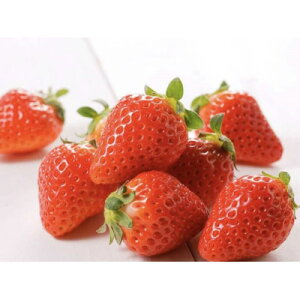 yӂ邳Ɣ[ŁzŘb ƂƂ 2pbNyzsnFEkCEꌧEElEBzy1678748z