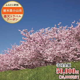 【ふるさと納税】栃木県小山市の対象施設で使える楽天トラベルクーポン寄付額50,000円