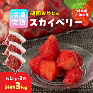yӂ邳Ɣ[Łzł₶̗ⓀnXJCx[3kg(1kgX3)yzsnFzy1222940z