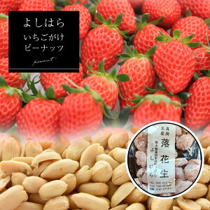 yӂ邳Ɣ[Łzs[ibci3܁jy悵͂z bԐ   ^s Yi Ȗ، ^s  ܂ ܂ s[ibc 
