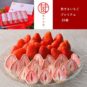 yӂ邳Ɣ[Łz䕂B 邢v~A 25 b  َq `R[g Yi Ȗ، ^s  t[YhC َq mَq lC 킢 IV Xgx