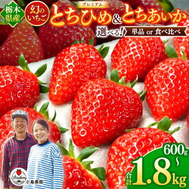 【ふるさと納税】とちひめ とちあいか プレミアム 幻 の いちご 選べる 容量｜600g 1200g 1800g 希少 柔らかい 果肉 大粒 ジューシー 果汁 いちご 苺 特産品 ストロベリー strawberry スイーツ お取り寄せ ご褒美 贈答用 プレゼント ご褒美 栃木県 真岡市