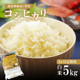 【ふるさと納税】 お米の定期便 3回定期 | こめ 米 ごはん ご飯 おにぎり おむすび 真岡産 コシヒカリ 白米 5kg 3回