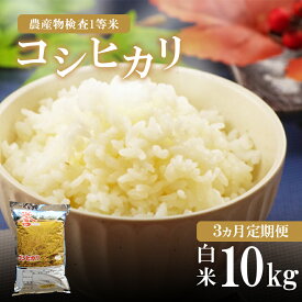 【ふるさと納税】 お米の定期便 3回定期 真岡産 コシヒカリ 白米 10kg 3回