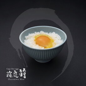 【ふるさと納税】懐かしさを感じる 箱庭たまご「箱庭萌」定期便 選べる 贈答用 | 9個 10個 12個 たまご 卵 高級 3回 6回 12回 お試し ギフトボックス 特産品 送料無料 高級卵 玉子 卵かけご飯 生卵 たまごかけ 栃木県 真岡市